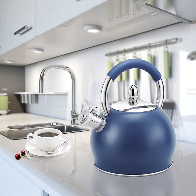 Whistling Tea Kettle for Stove Top Stainless Steel Tea Pot with Ergonomic Silicone Handle Teapot for Stovetop 3.2 Quart / 3 Liter Blue