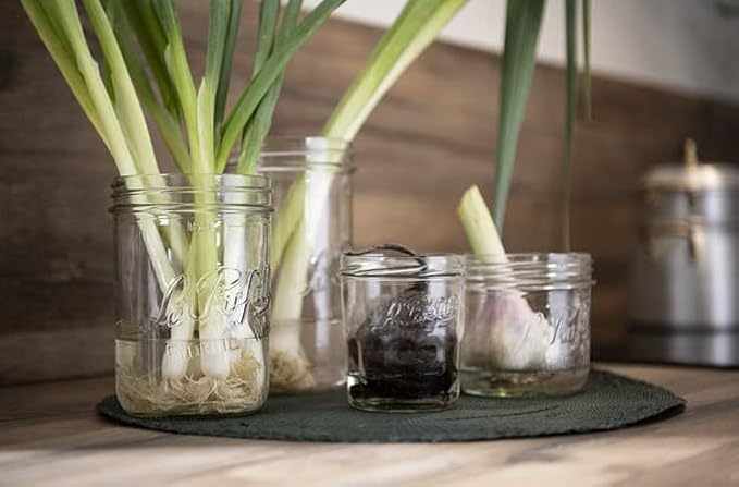 Le Parfait Familia Wiss Terrine Wide Mouth French Glass Jar w/Airtight 2-Piece System Gold Lids | Ideal for Canning, Food Storage, Meal Prep, Cake Jar & DIY Crafts | 7oz Half/Pint (Pack of 6) 200ml