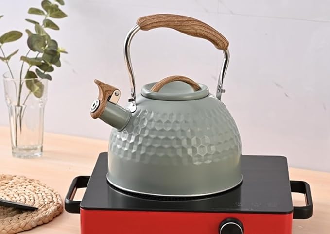 Tea Kettle Stovetop Whistling Teakettle Teapot, Stainless Steel, 3L (Green)