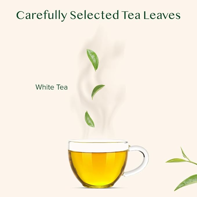 VAHDAM, Imperial White Tea Leaves From Himalayas (25 Cups/1.76oz) High Elevation Grown, White Tea Loose Leaf Tea | Pure Unblended Loose Leaf Tea | Vacuum Sealed