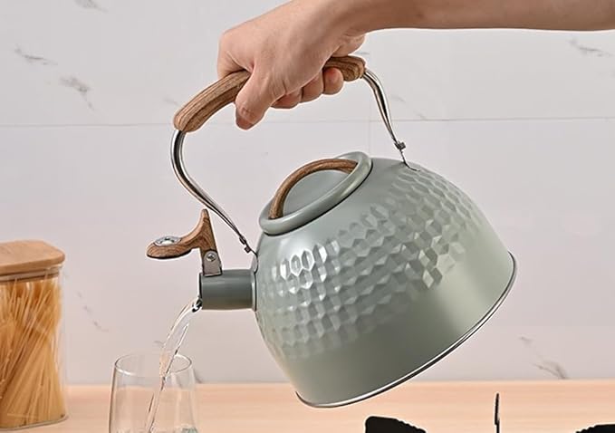 Tea Kettle Stovetop Whistling Teakettle Teapot, Stainless Steel, 3L (Green)