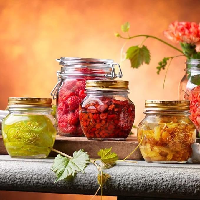 Bormioli Rocco Quattro Stagioni Amphora Small Glass Canning Jar with Lid, 17 oz., Set of 12