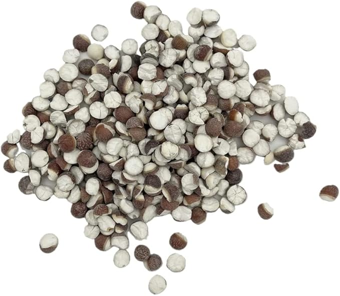Greenlike Qian Shi Euryale Ferox Salisb Dried Fox Nuts 芡实 (8oz)