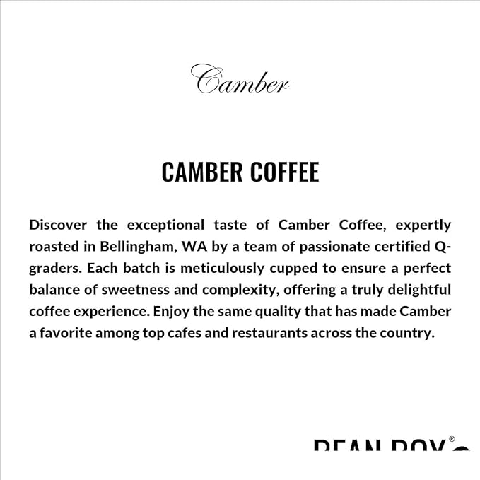 Struttura - Roasted by Camber Coffee - Whole Bean Coffee - 12 Ounce Bag