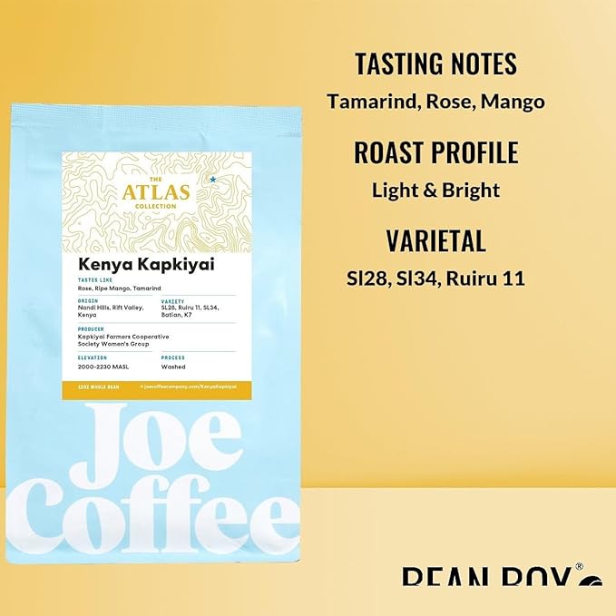 Kenya Kapkiyai - Roasted by Joe Coffee Company - Whole Bean Coffee - 6 Ounce Bag