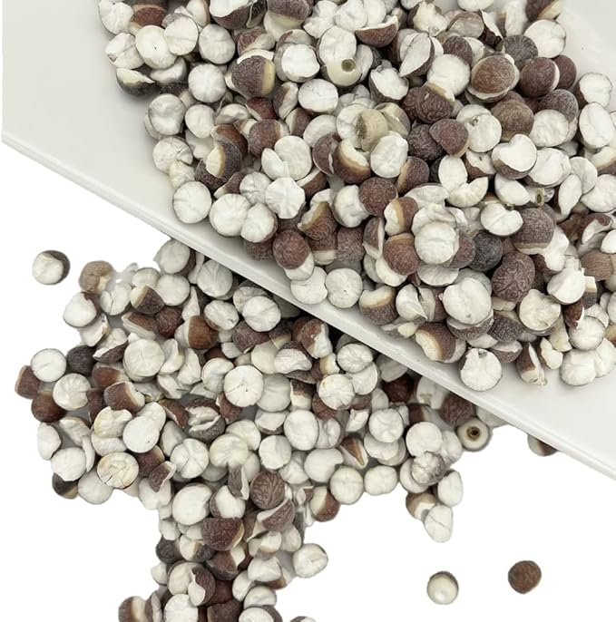 Greenlike Qian Shi Euryale Ferox Salisb Dried Fox Nuts 芡实 (16oz)