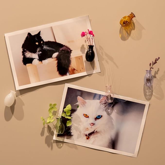 Nuvretk 2PCS Mini Glass Cat Whisker Vase - Fridge Magnet Cat Whisker Holder with Strong Adhesive, Clear Miniature Vases for Keepsake or Décor（Black and White）