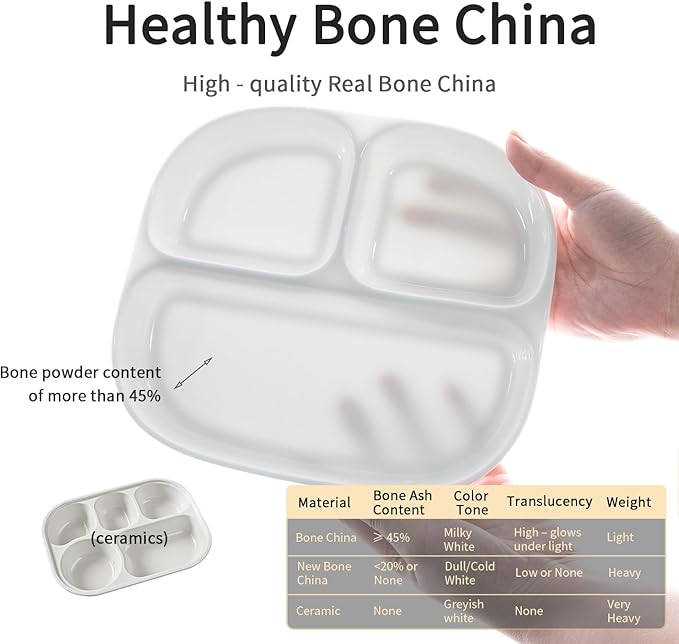 Portion Control Plate - Fine Bone China Porcelain Divided Plates for Adults, Children, Healthy Diet
