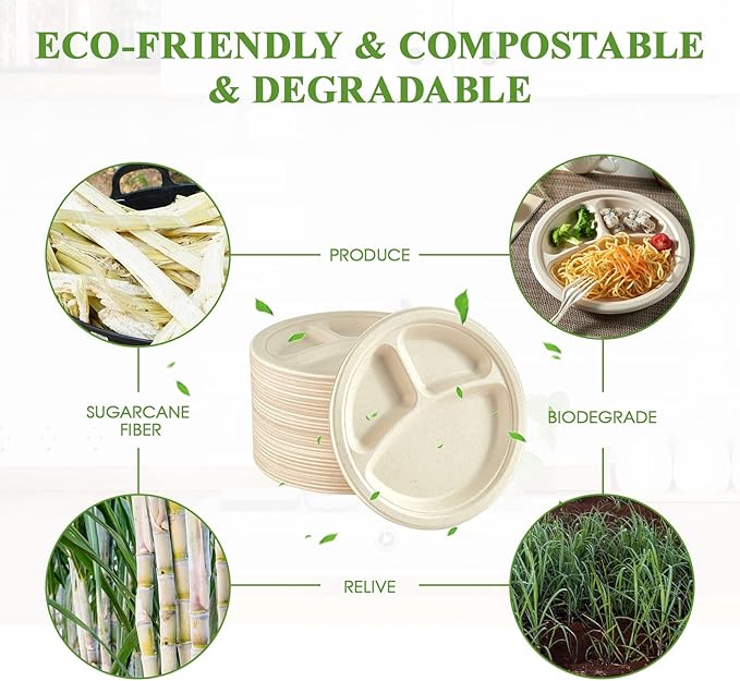 Vplus 100% Compostable Paper Plates, 125 Pack 9 Inch 3 Compartment Plates Disposable, Heavy Duty Biodegradable Plates Made of Sugar Cane Fibers, for Daily meals, Dinner, Parties, BBQ