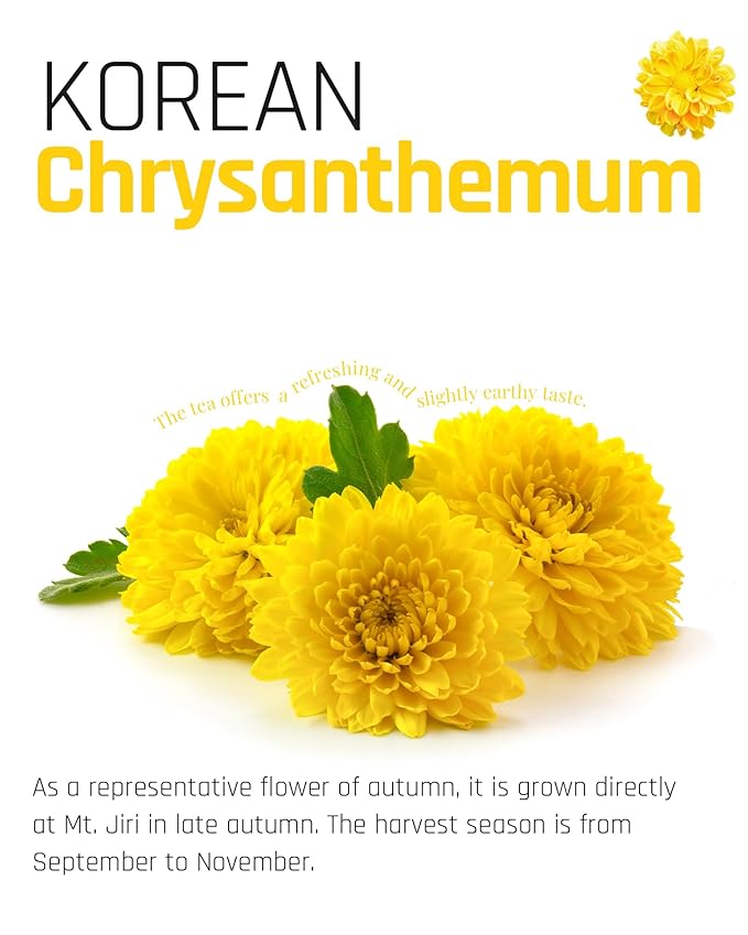 Ssanggye Chrysanthemum Floral Tea 0.5g x 100 Tea Bags, Bulk Size Premium Korean Herbal Hot Cold Hygienic Single Teabag Flower Tea Sweet Soft Flavor 국화차 4 Seasons Made in Korea