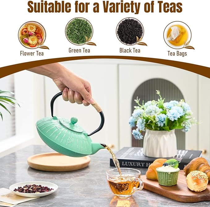 PARACITY Cast Iron Teapot Japanese 800ml/27oz, Tea Kettle Pot for Stove Top, Tea Pot with Stainless Steel Infusers for Loose Tea, Boiling Hot Water Tea, Mothers Day Gifts from Daughter/Son