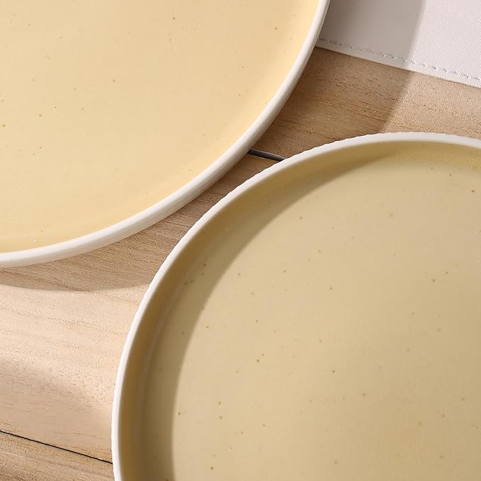 MONITO Ceramic Dinnerware Sets for 4, 12PCS Stoneware Plates and Bowls Sets, Reactive Glaze Dish Set, Chip and Scratch Resistant Double, Microwave and Dishwasher Safe, White Orange