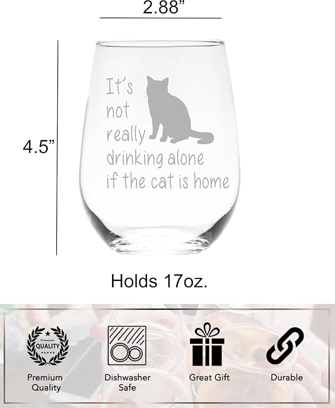 C M The Cat is Home Funny Stemless Wine Glass - Cat Themed Gift for Women and Men - 17 oz (Style C1)