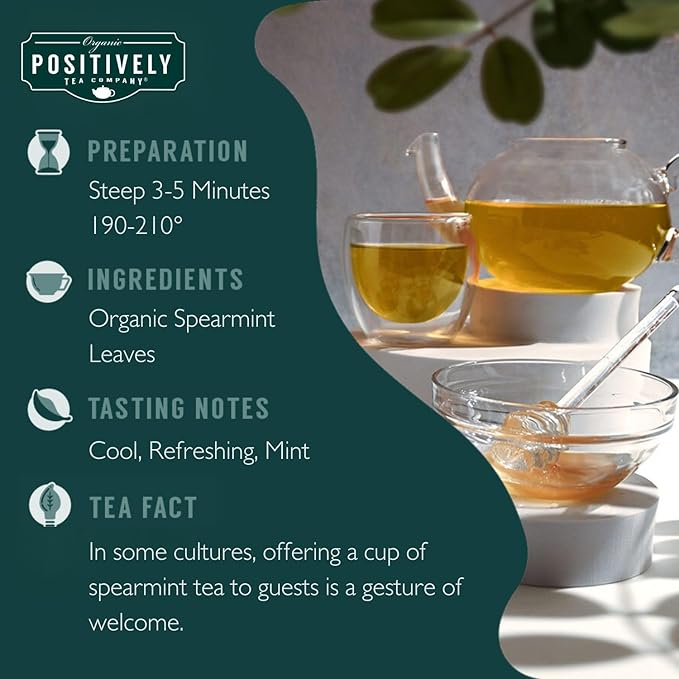 Organic Positively Tea Company, Spearmint Leaf Herbal Tea Bags, 100 Count, Eco-Friendly Tea Bags, Non-GMO