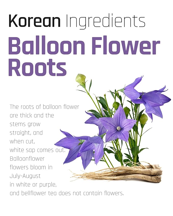 Ssanggye Bellflower Tea Bulk Size 0.7g x 100 Tea Bags, Premium Korean Herbal Tea Hygienic Single Teabag Balloon Flower Doraji 도라지차 Caffeine Free Herb Refreshing Tea Made in Korea