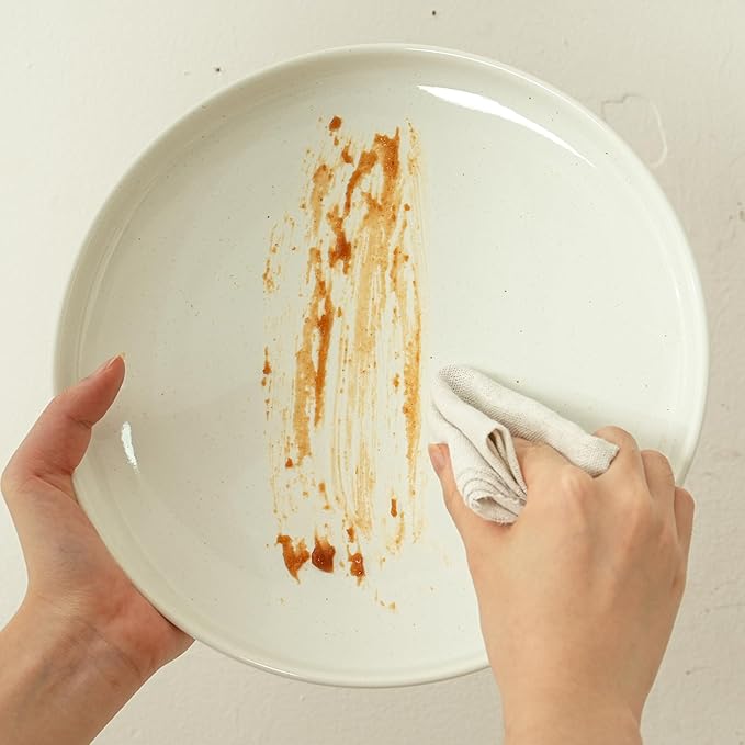 10.25-Inch Dinner Plates Set of 4, Dual Glaze Stoneware Plates, Microwave and Dishwasher Safe, Ceramic Plates for Everyday Dining, Stardust Glaze White