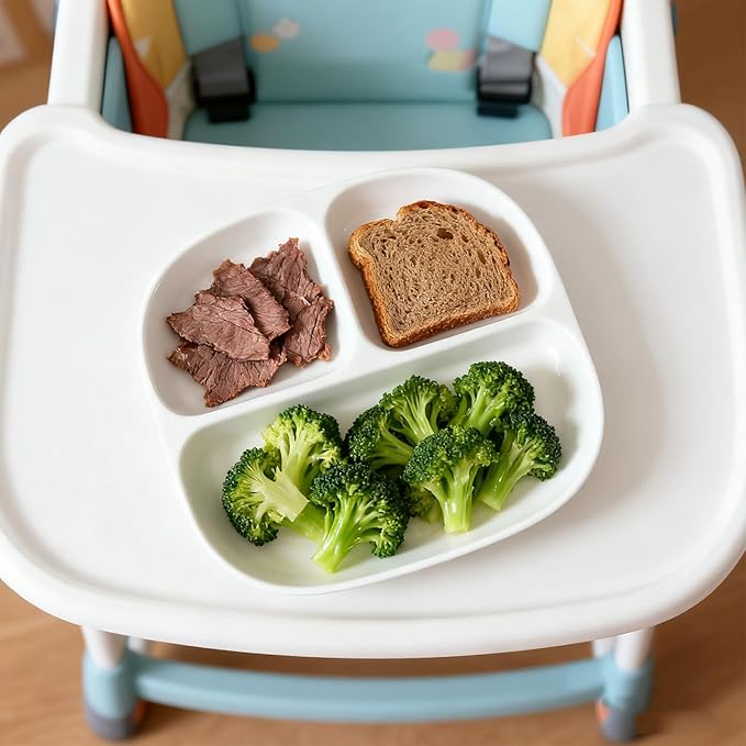 Portion Control Plate - Fine Bone China Porcelain Divided Plates for Adults, Children, Healthy Diet