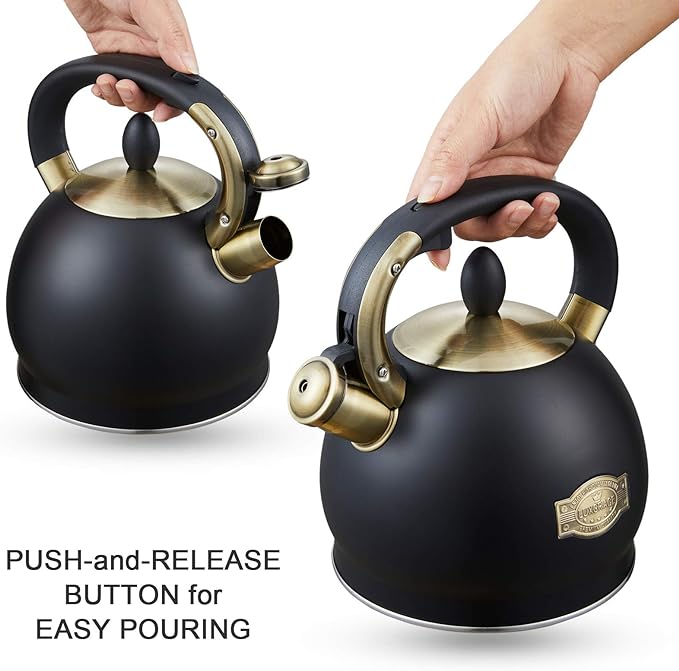 Stove Top Whistling Tea Kettle- Stainless Steel Teakettle Teapot with Ergonomic Handle 2.6 Quart(Black)