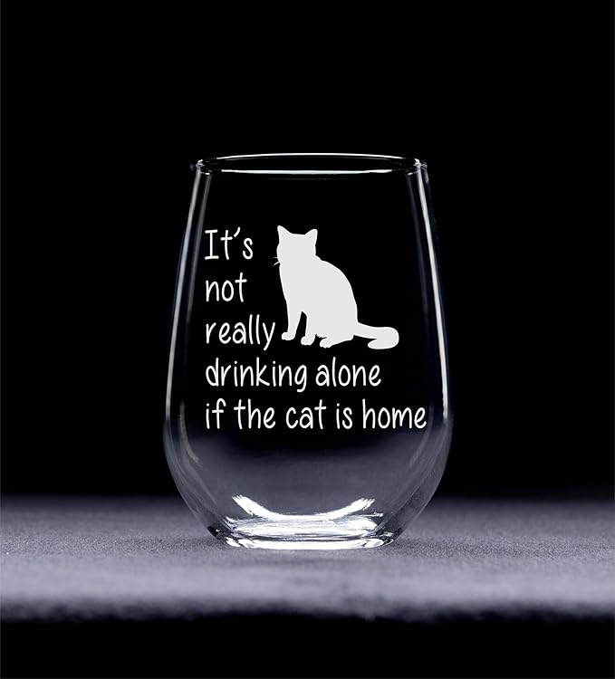 C M The Cat is Home Funny Stemless Wine Glass - Cat Themed Gift for Women and Men - 17 oz (Style C1)