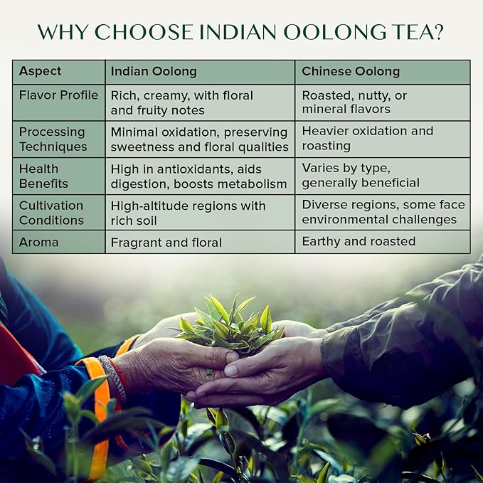VAHDAM White Mountain Oolong Tea Loose Leaf (25 Cups/1.76oz) Pure Oolong Tea Leaves | High Elevation Grown | Vacuum Sealed | Brew Hot, Iced, Kombucha