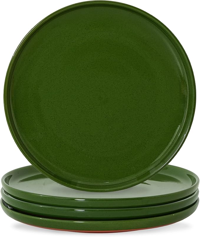 10.25-Inch Dinner Plates Set of 4, Dual Glaze Stoneware Plates, Microwave and Dishwasher Safe, Ceramic Plates for Everyday Dining, Forest Glaze Green
