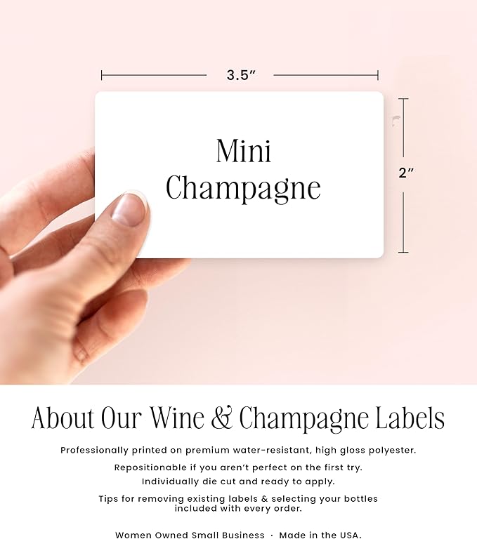 Bridesmaid Proposal Mini Champagne Labels - Set of 10 - Will You Be My Bridesmaid Box Gift Idea