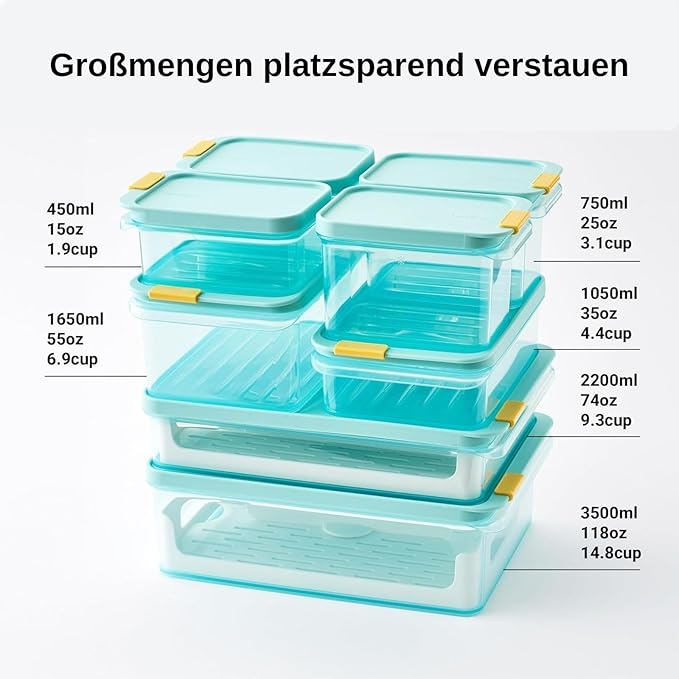 LocknLock HFL101 Freezer Fit Plastic Food Storage Container with Lid for Kitchen, Lunch, Meal Prep, and Leftovers, BPA-Free, Airtight, Leakproof, Microwave, Dishwasher-Safe, 450ml