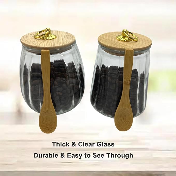 Glass Airtight Storage Jars with Spoons,Bamboo Lid Canister for Foods,Decorative Container with Metal Handle Easy to Grasp 2Pack Conical