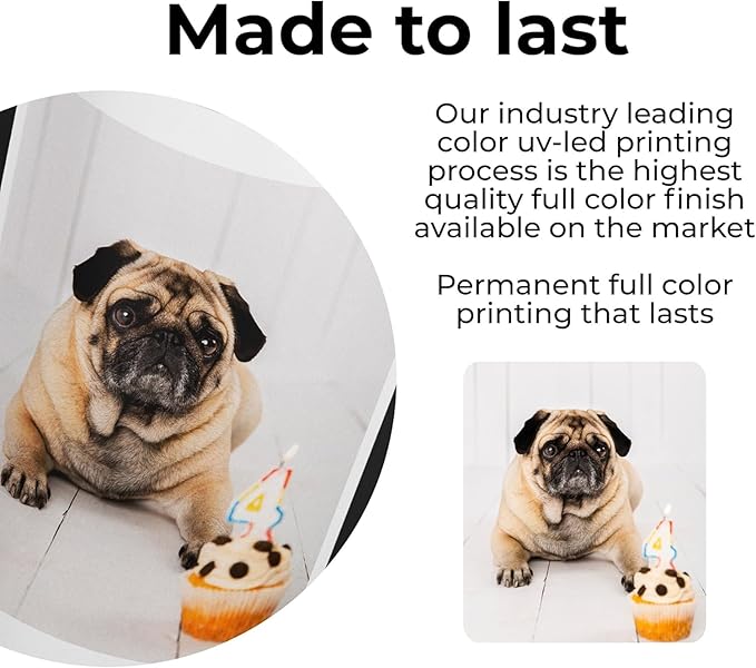 Custom pet picture tumbler with lid, insulated stainless steel 20oz personalized photo thermo cup for animal lovers, drinking glass for cat mom & dog dad, pet loss memorial gift (Pet pictures)