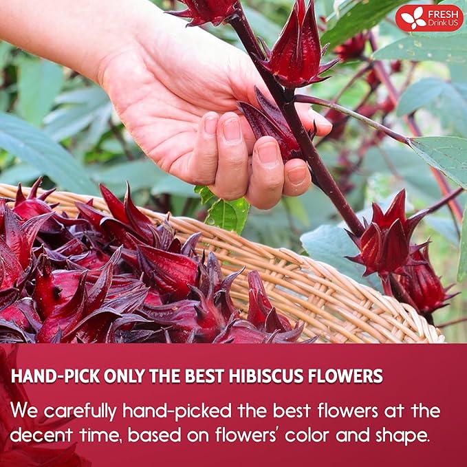 FreshDrinkUS, Premium 30 Hibiscus Flowers Tea Bags, 100% Natural & Pure from Hibiscus Flowers. Loose Flower Herbal Tea. No Sugar, No Caffeine, No Gluten, Vegan.