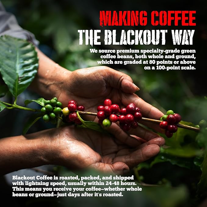 Blackout Coffee Blueberry Crumble Flavored Coffee Pods – Medium Roast, Smooth Taste, Guilt-Free Indulgence – Freshly Roasted 18 Count
