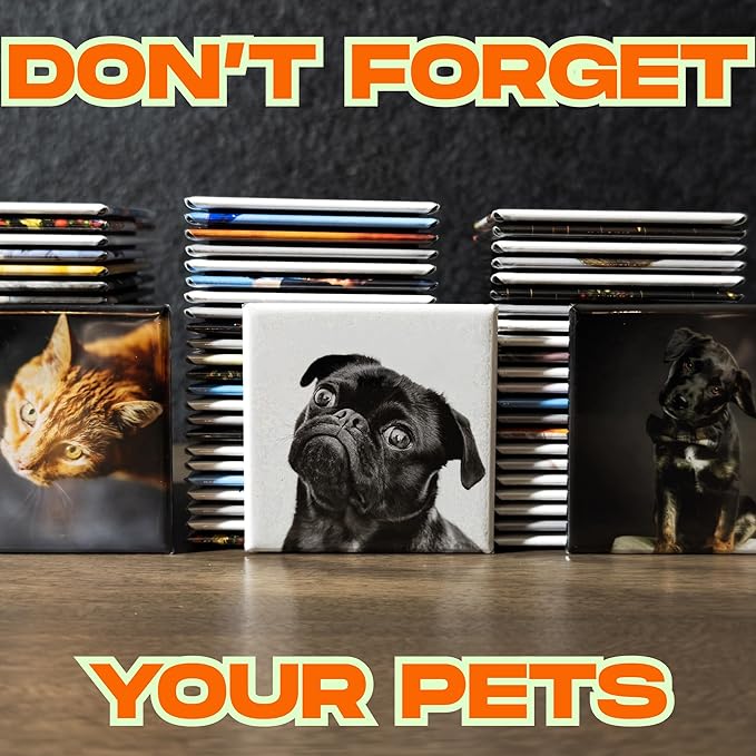 Set of 6 Custom Photo Magnets 2x2 Inch | Personalized Picture Gift for Fridge, Locker, or Office | Save The Date, Wedding Favor, Family Photos, Cubicle Decor