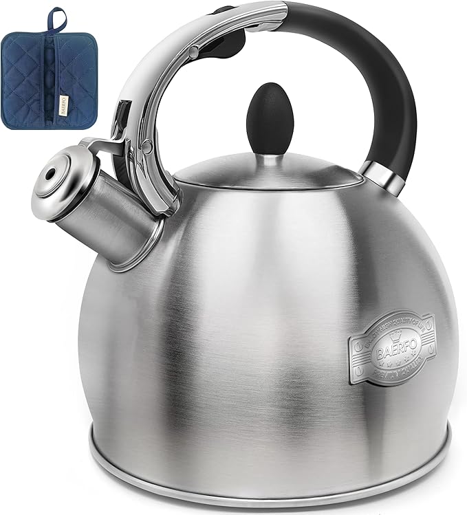 Stainless Steel Tea Kettle, Tea Kettles Stovetop, Vintage Whistling Teapot for Stove, Durable and Rust-Resistant, with a Pot Holder Included, Whistling Tea Kettle 2.64 Quart (Brushed)