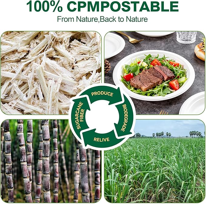 DaYammi 100% Compostable Paper Plates 7 Inch, 125-Pack Heavy Duty Paper Plates Bulk,Biodegradable Bagasse,Eco-Friendly Disposable Dessert Plate for BBQ,Picnic,Party (BPI Certified,Microwaveable)