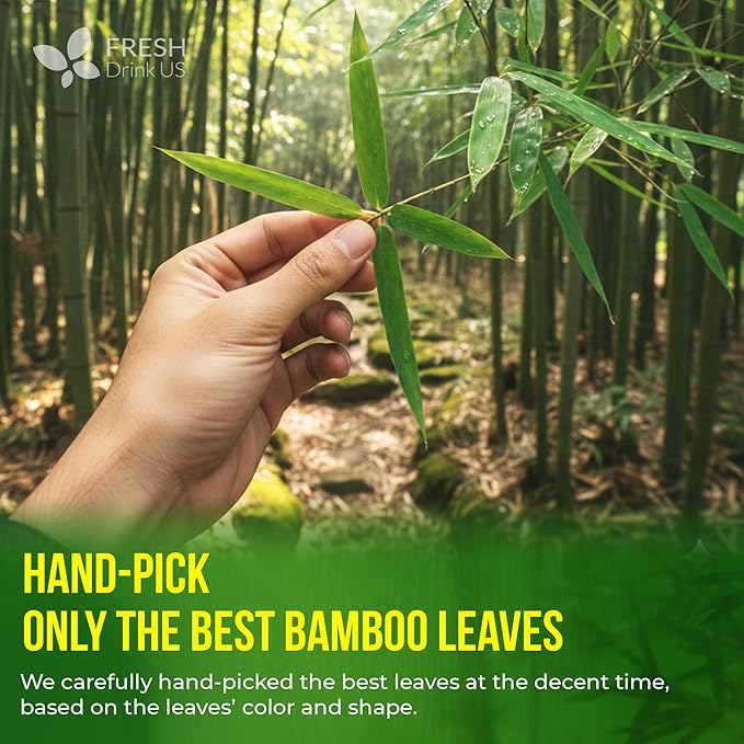 FreshDrinkUS, Premium Bamboo Leaf Tea Bags | 75 Count | Naturally Light & Refreshing Caffeine-Free Herbal Tea – From 100% Natural Bamboo Leaves. Sugar-Free. Vegan