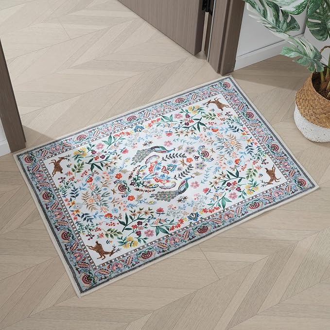 Rugcomf Entryway Rug 2x3 Rug Door Mat Indoor Entrance Washable Rug Small Non-Slip Low Pile Throw Rugs for Entryway, Kitchen, Front Door Indoor Entrance, Entry(Colorful)