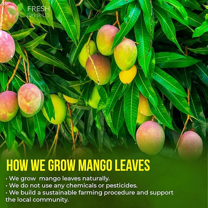 FreshDrinkUS, Premium 140+ Mango Whole Leaves Dried, 100% Natural & Pure from Dried Mango Leaves Tea, No Additives, No Caffeine, Vegan