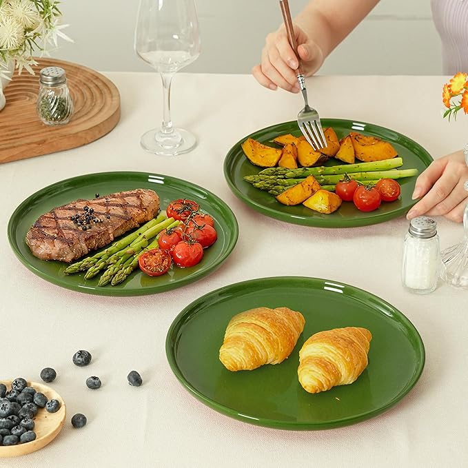 10.25-Inch Dinner Plates Set of 4, Dual Glaze Stoneware Plates, Microwave and Dishwasher Safe, Ceramic Plates for Everyday Dining, Forest Glaze Green