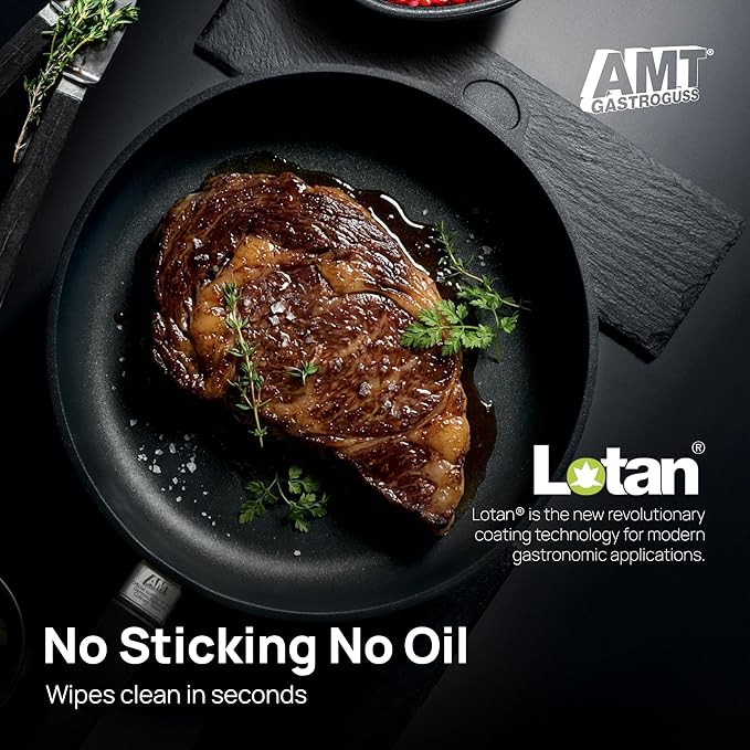 AMT Gastroguss The World´S [.] Casserole Frying pan for Induction, Diameter 28 cm, Height 7 cm, die-cast Aluminium, Lotan® Non-Stick Coating, for Fat-Free-Frying, AMZN-I-728-US