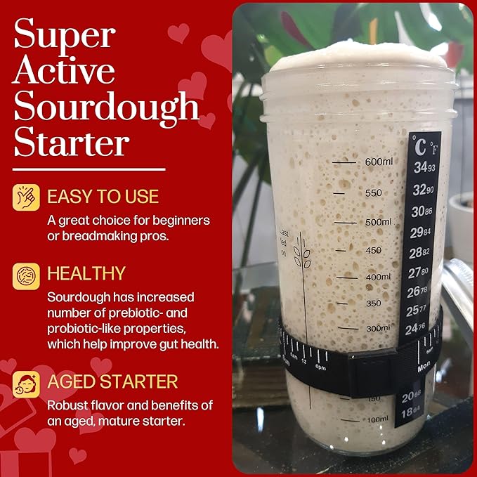 Mature Sourdough Starter Culture – 100+ Years Old Dehydrated Sourdough Starter Kit for Delicious Homemade Sourdough Bread – All-Natural and Healthy - Beginner Friendly, Fast reactivation and Expert Support