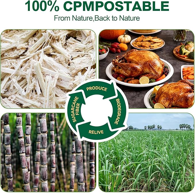 DaYammi 100% Compostable Oval Paper Plates 12 Inch, 125-Pack Heavy Duty Paper Plates Bulk,Biodegradable Bagasse,Eco-Friendly Disposable Dinner Plate for BBQ,Picnic,Party (BPI Certified,Microwaveable)