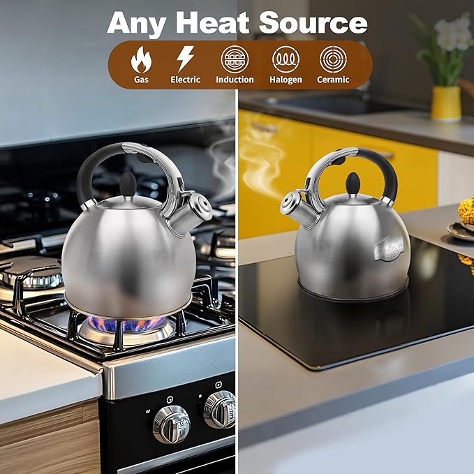 Stainless Steel Tea Kettle, Tea Kettles Stovetop, Vintage Whistling Teapot for Stove, Durable and Rust-Resistant, with a Pot Holder Included, Whistling Tea Kettle 2.64 Quart (Brushed)