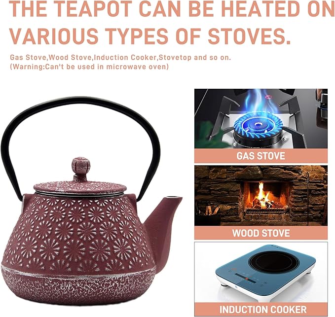 Cast Iron Teapot, 20.3oz Small, Enameled Interior, Stainless Steel Infuser for Loose Tea (Pink Gerbera Pattern)
