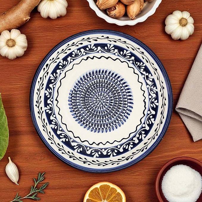 Ceramic Grater Bowl, Garlice Grater Plate, Handmade Ginger Grater, Mincer Bowl for Cheese &Vegetables, Ceramic Decorative Mincer, Hand Dish for Garlic (Marine Vines)