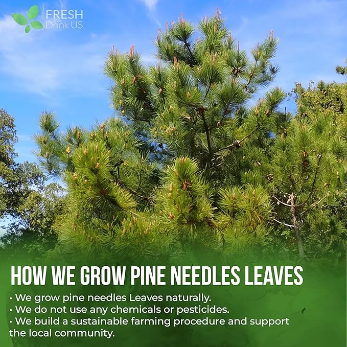 FreshDrinkUS, Premium 8oz Pine Needle Leaves Herbal Tea – Dried Loose Leaf Pine Needles – Naturally Fresh & Aromatic Caffeine-Free Herbal Tea. Sugar-Free. Vegan