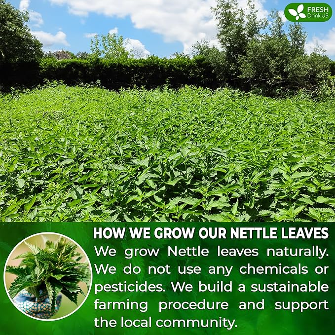 FreshDrinkUS, Premium 135 Nettle Leaf Tea Bags, 100% Natural & Pure, Stinging Nettle Leaf Tea, Burn Nettle, Stinging Nettle, Stinger Tea, No Sugar/Caffeine/Gluten, Vegan
