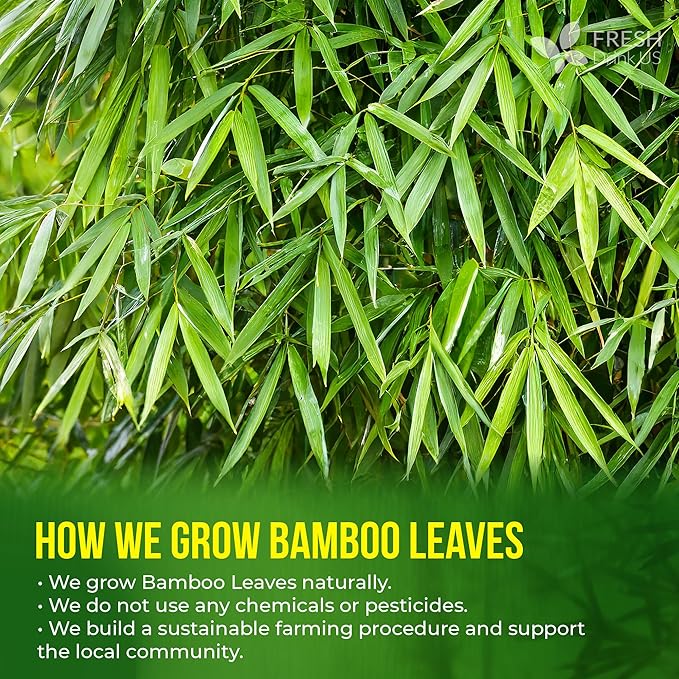 FreshDrinkUS, Premium Bamboo Leaf Tea Bags | 75 Count | Naturally Light & Refreshing Caffeine-Free Herbal Tea – From 100% Natural Bamboo Leaves. Sugar-Free. Vegan