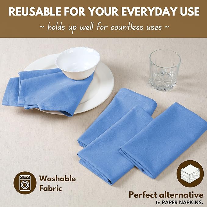 Native Fab Solid Cloth Napkin Set of 4, 100% Cotton, Washable, Reusable Dinner Cloth Napkin 17x17 inches, Table Decor Napkins for Dinner, Events, Sky Blue
